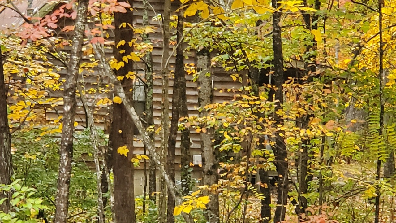 Photo of Outdoor in Crossville
