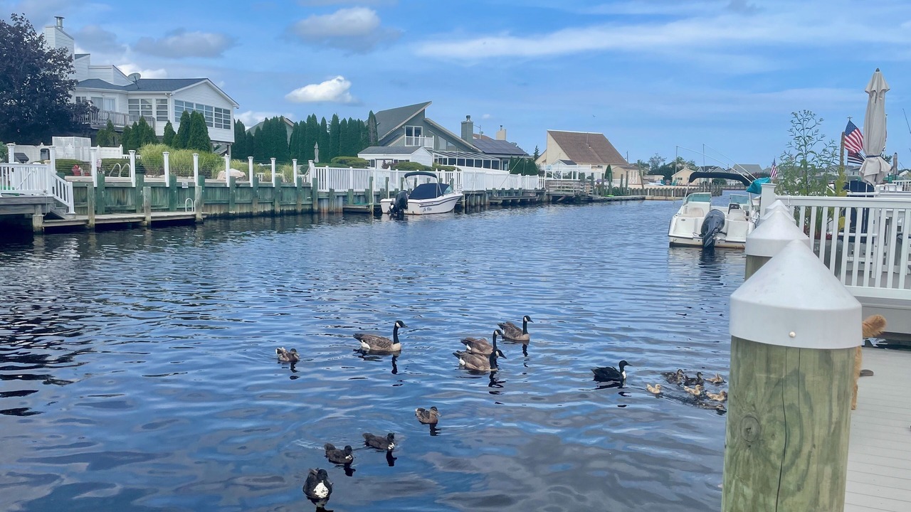 Photo of Others in Beach Haven West