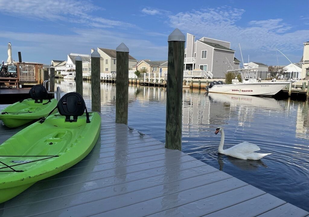 Photo of Outdoor in Beach Haven West