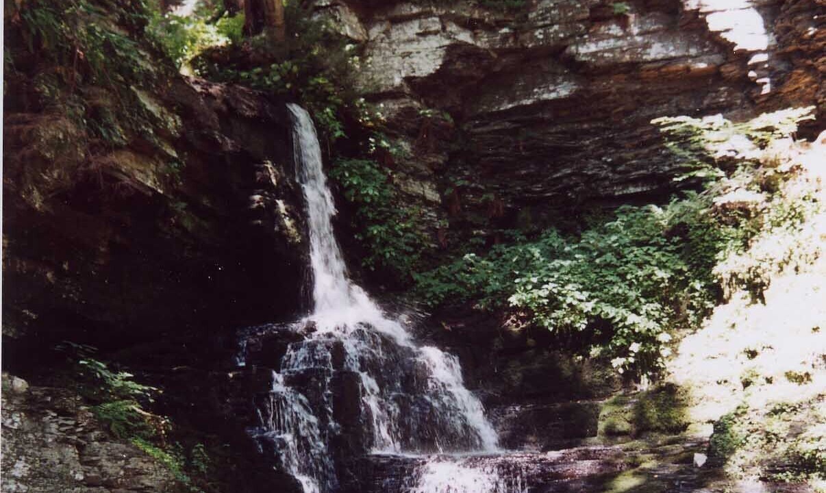 Photo of Others in Tamiment