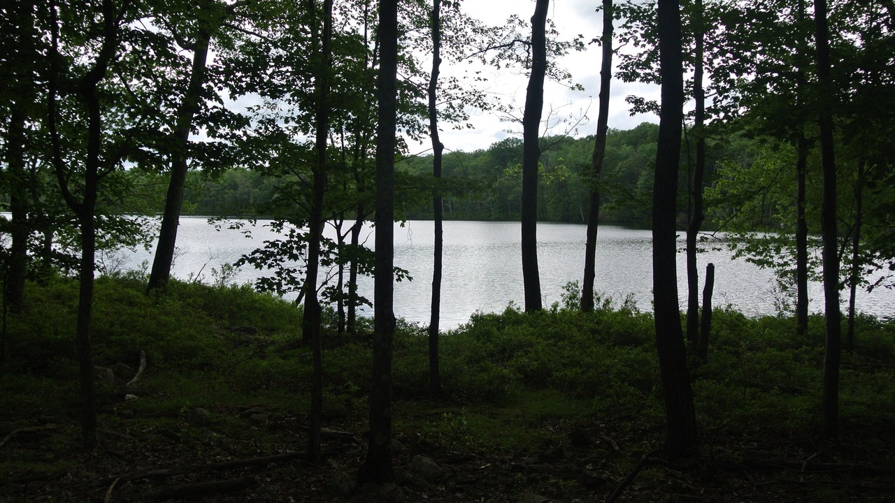 Photo of Outdoor in Tamiment