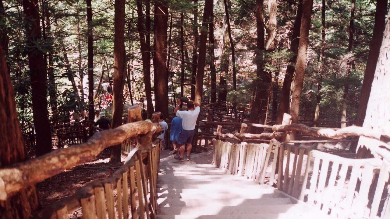 Photo of Others in Tamiment