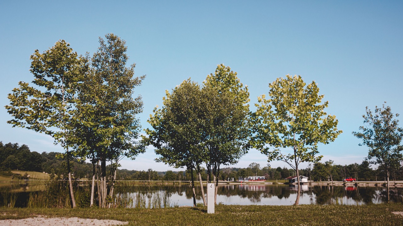 Photo of Outdoor in Kipling