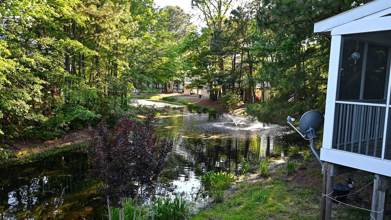 Photo of Outdoor in Clearwater