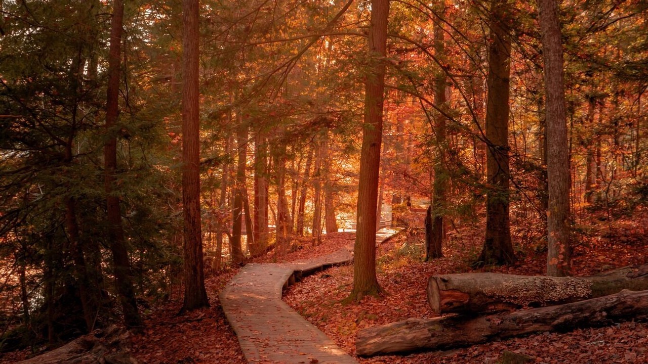 Photo of Outdoor in Lexington