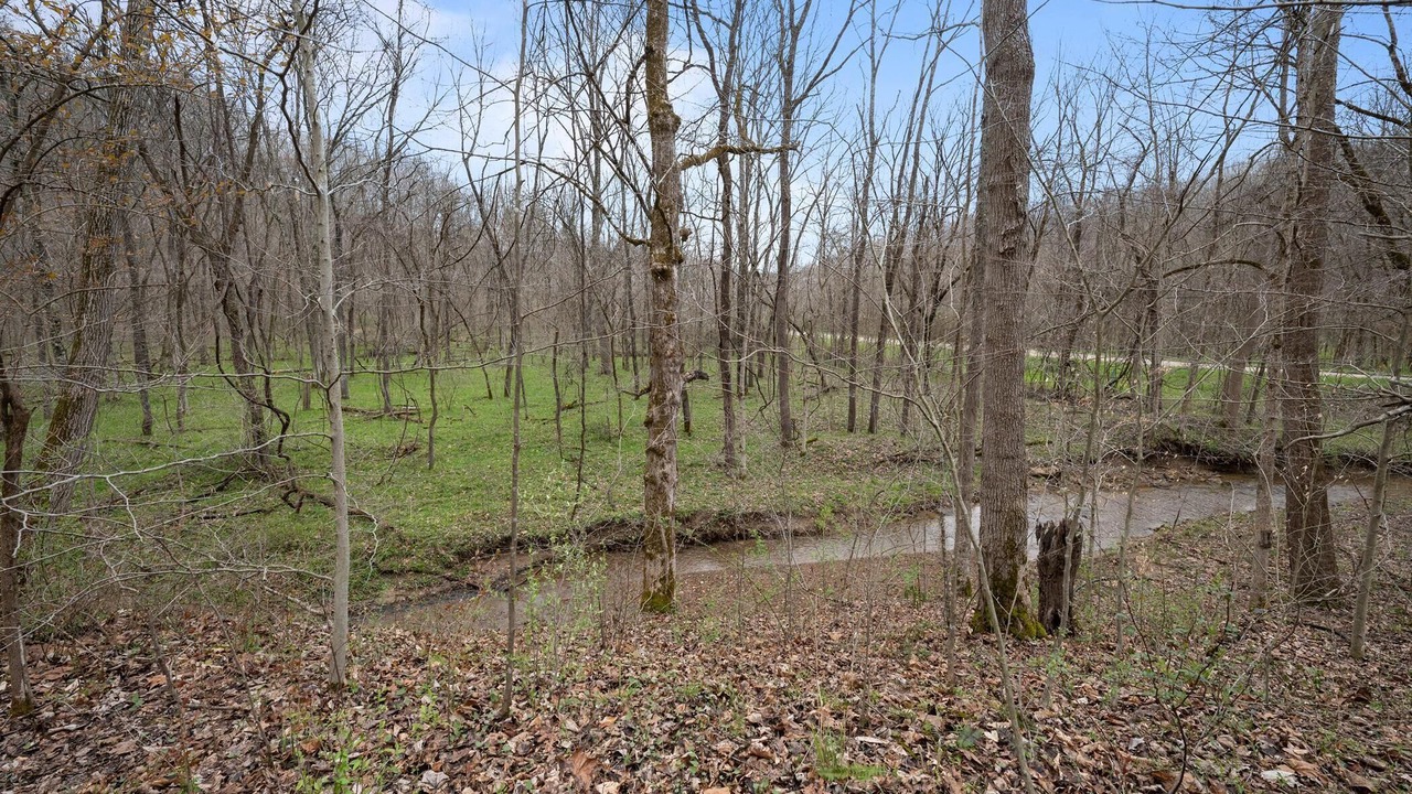 Photo of Outdoor in Carbon Hill