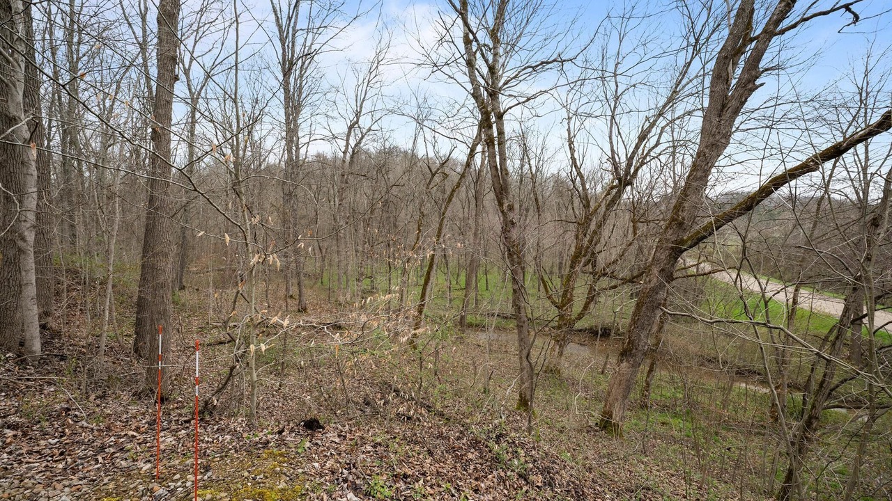 Photo of Outdoor in Carbon Hill
