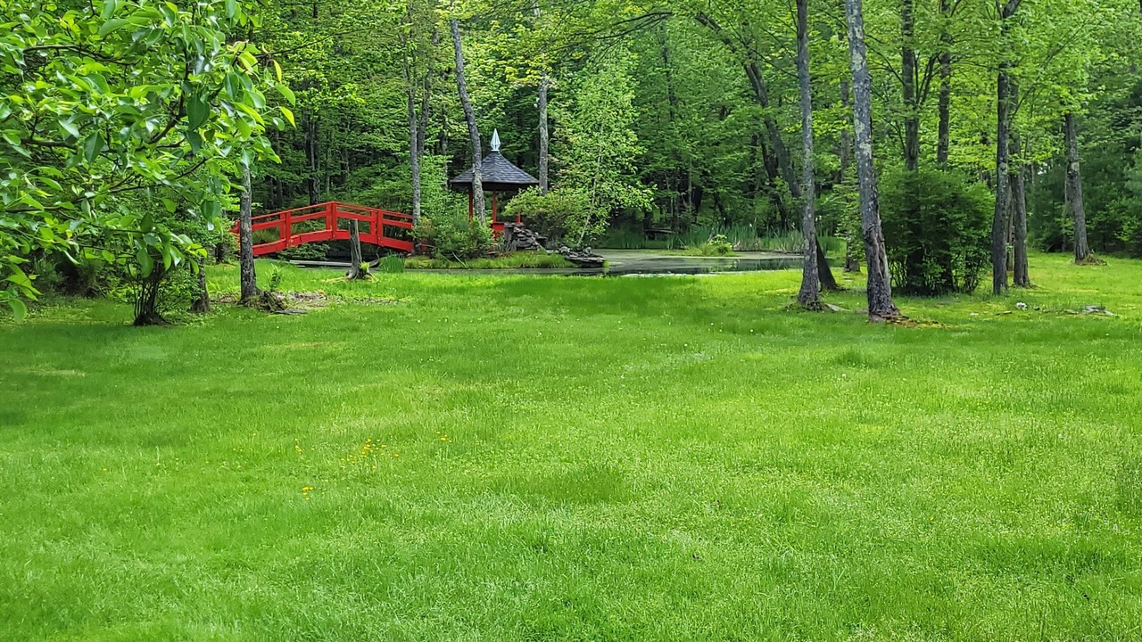 Photo of Outdoor in Monticello