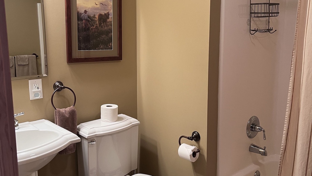 Photo of Bathroom in Conneaut Lakeshore
