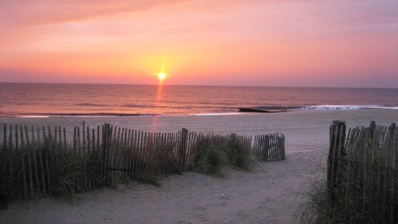 Photo of Others in Rehoboth Beach