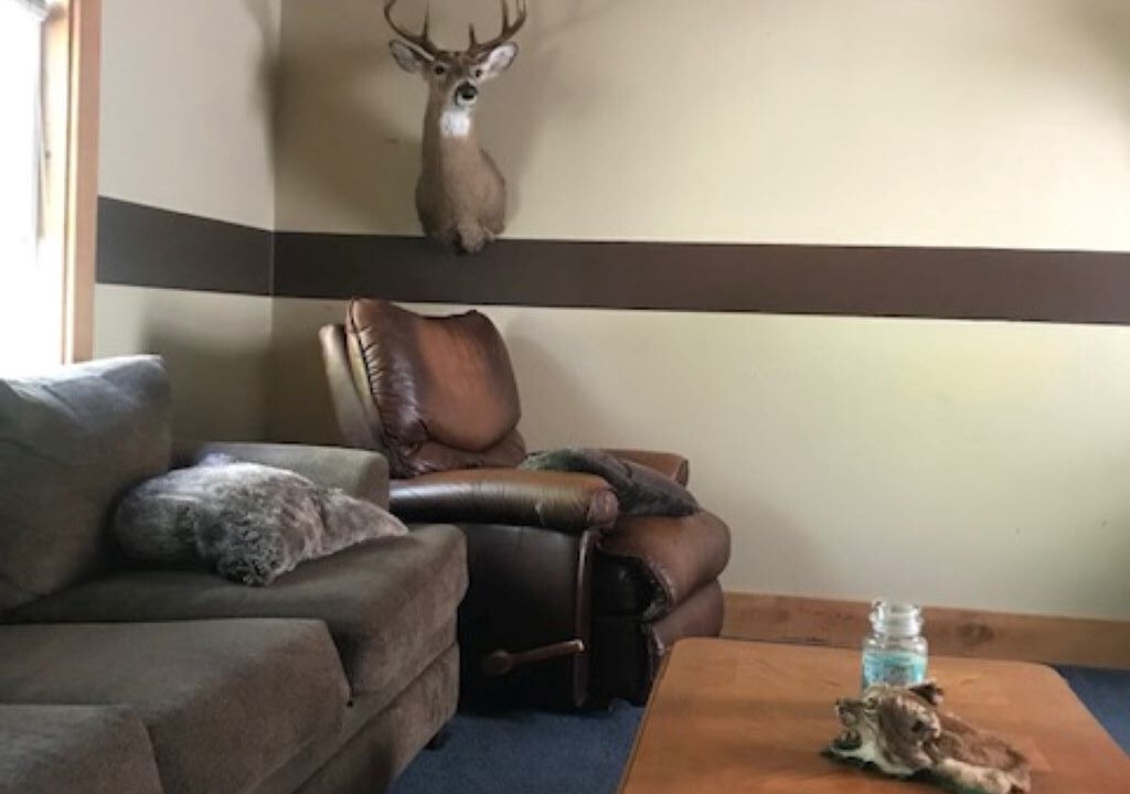 Photo of Livingroom in Tylersburg