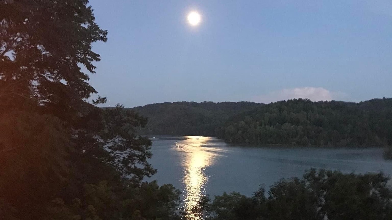 Photo of Others in Flat Hollow Marina