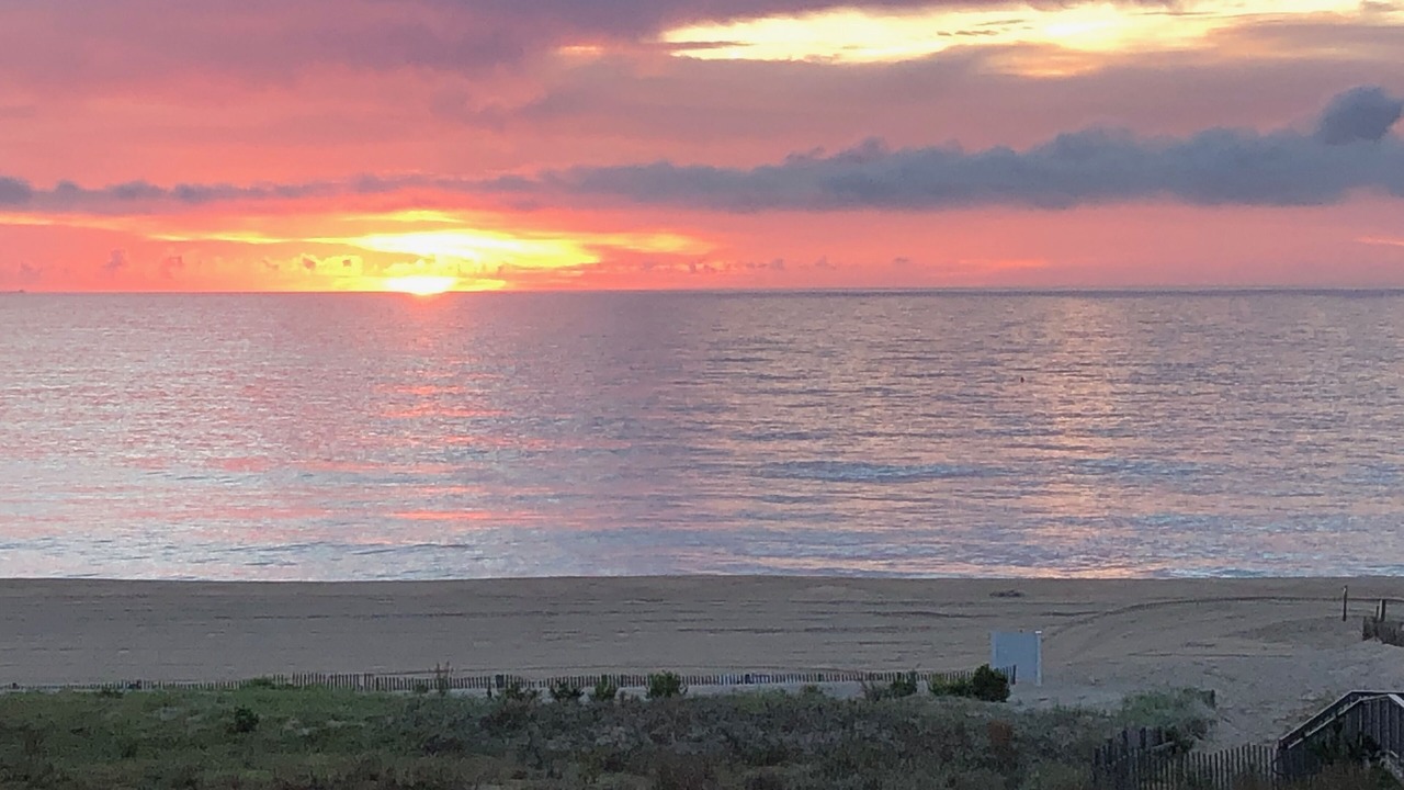 Photo of Others in Bethany Beach