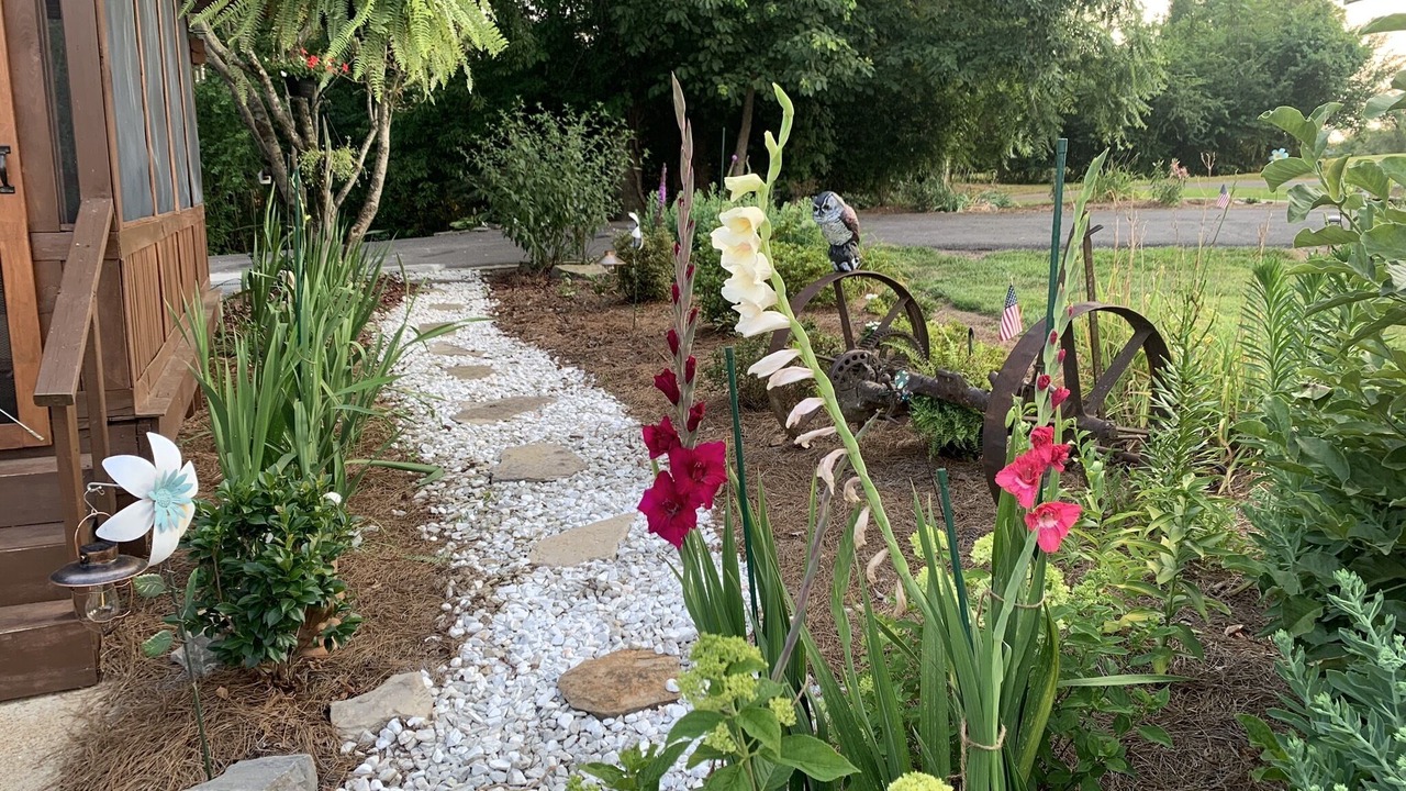 Photo of Outdoor in Kedron