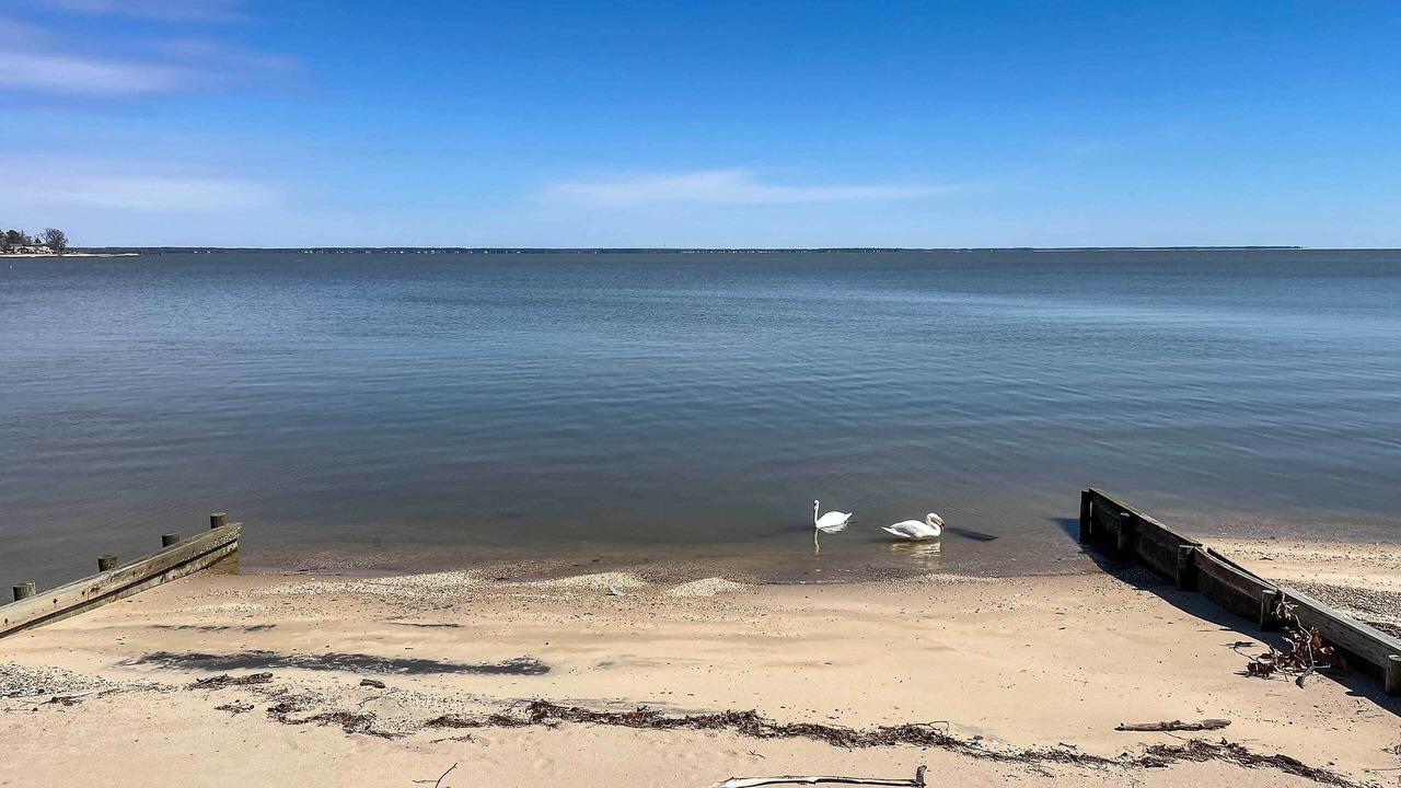 Photo of Others in Colonial Beach