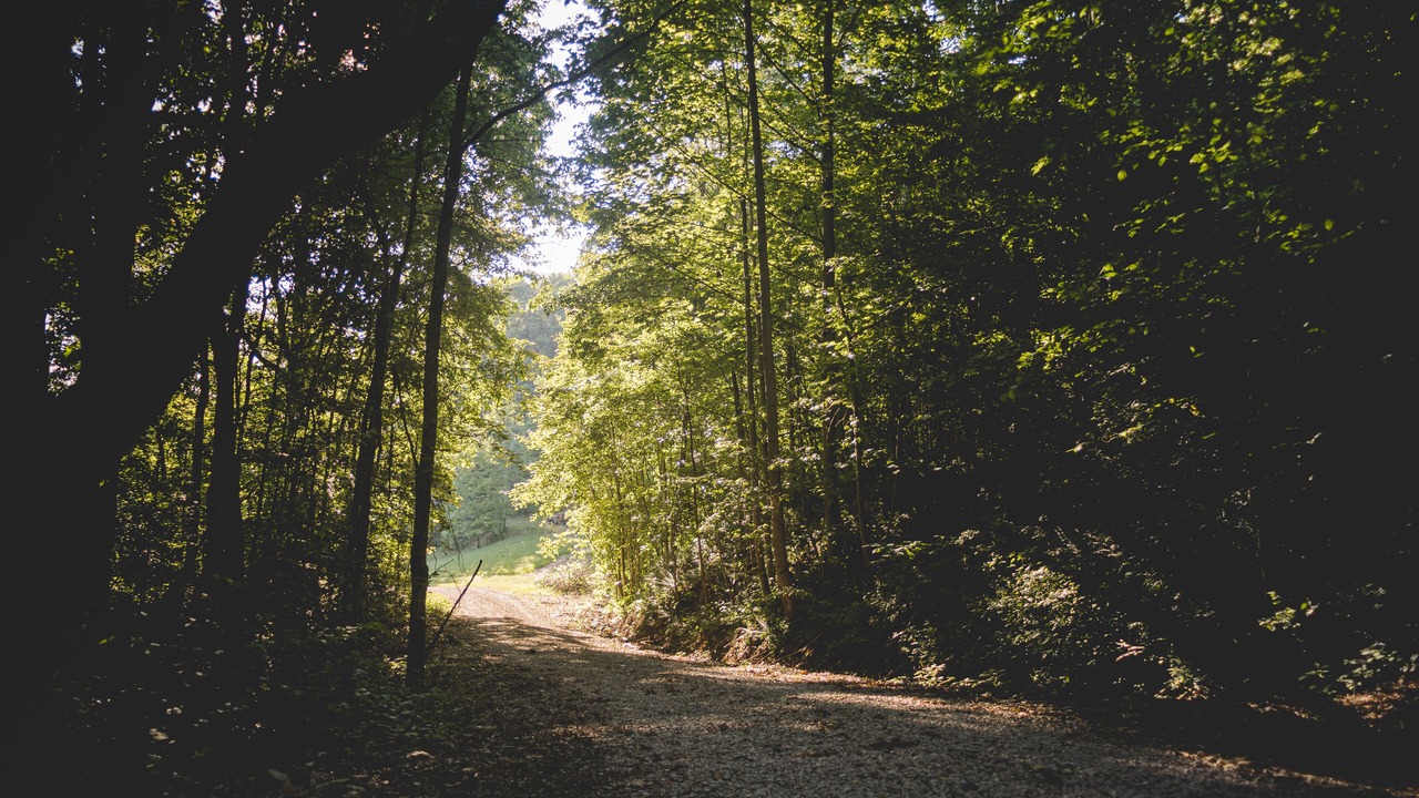 Photo of Outdoor in Kipling