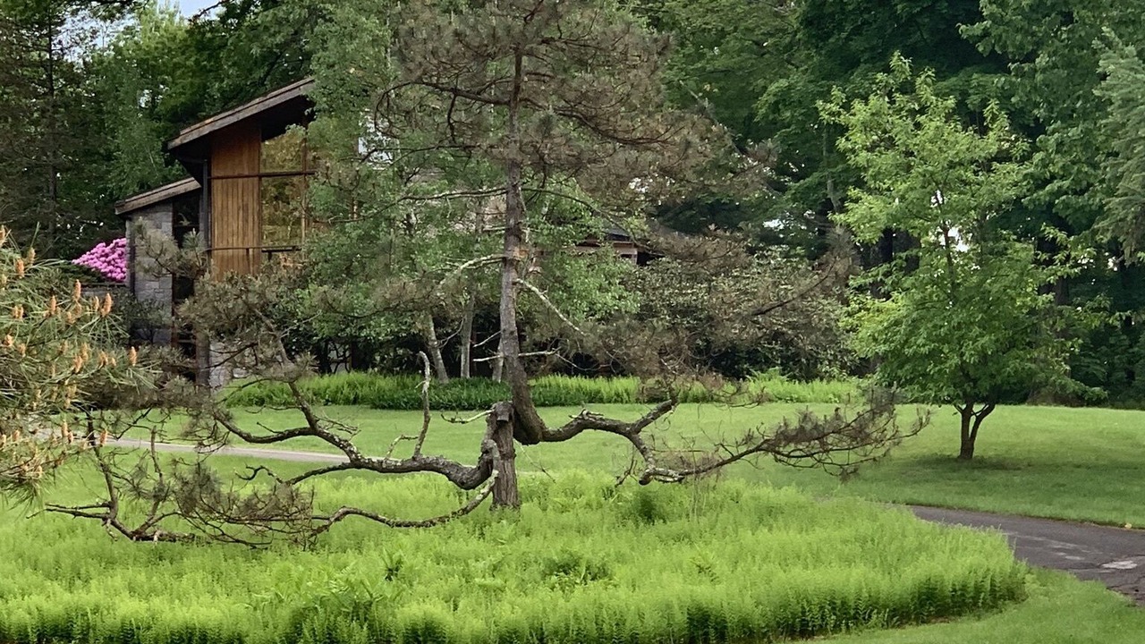 Photo of Outdoor in Ellenville