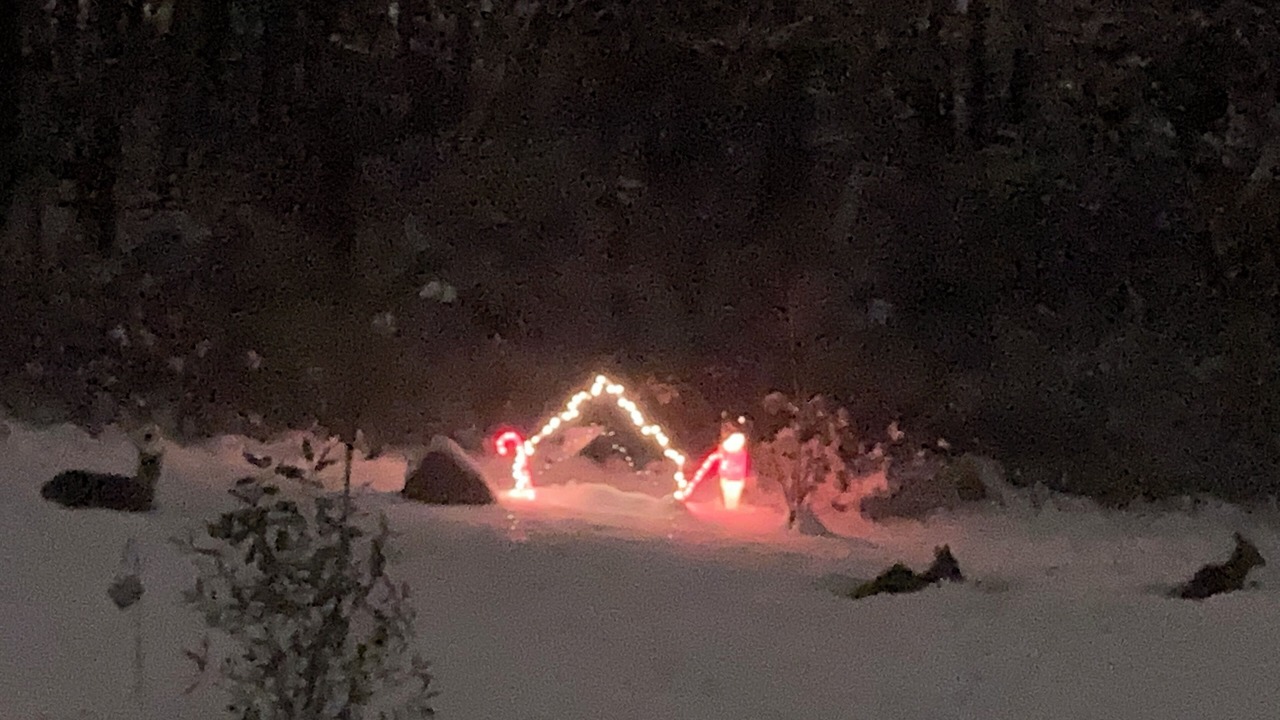 Photo of Outdoor in Large