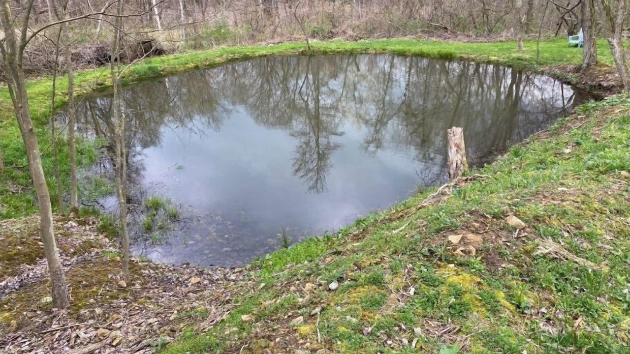 Photo of Outdoor in Brush Valley