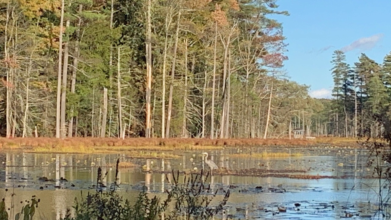Photo of Others in Bearsville
