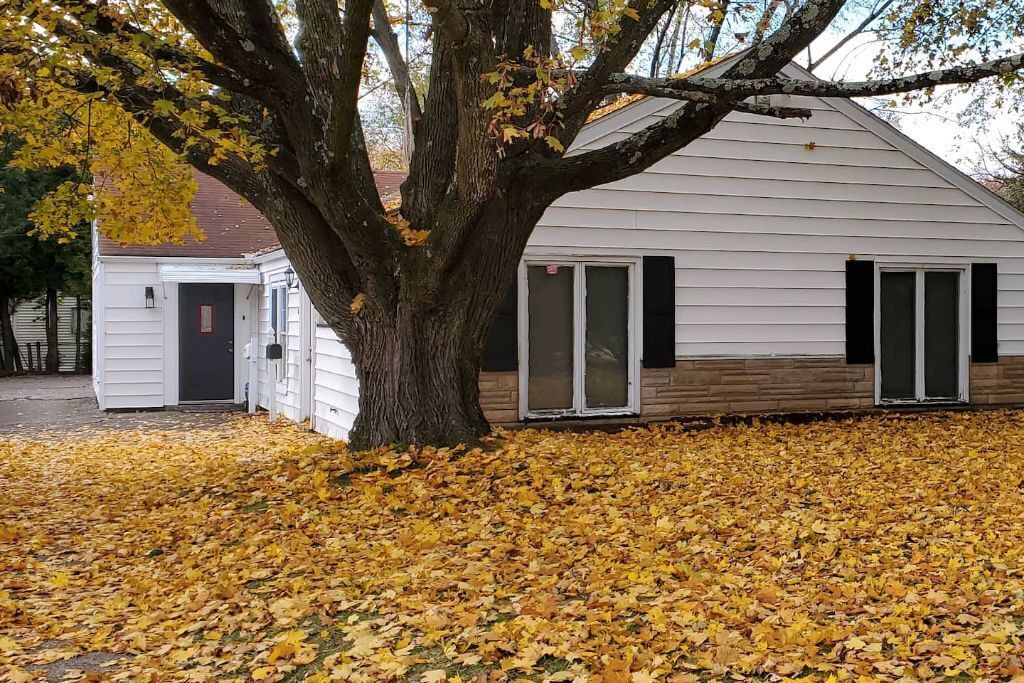 Photo of Outdoor in Youngstown