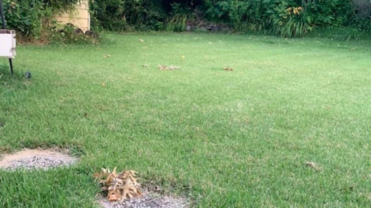 Photo of Outdoor in Elmwood Park