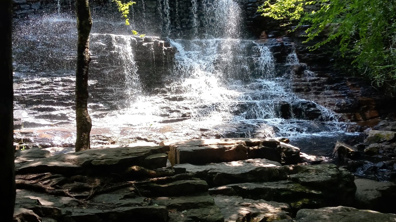 Photo of Outdoor in Mount Pocahontas