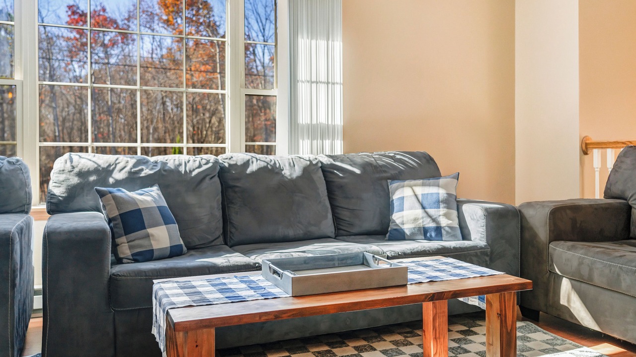 Photo of Livingroom in Mount Pocahontas