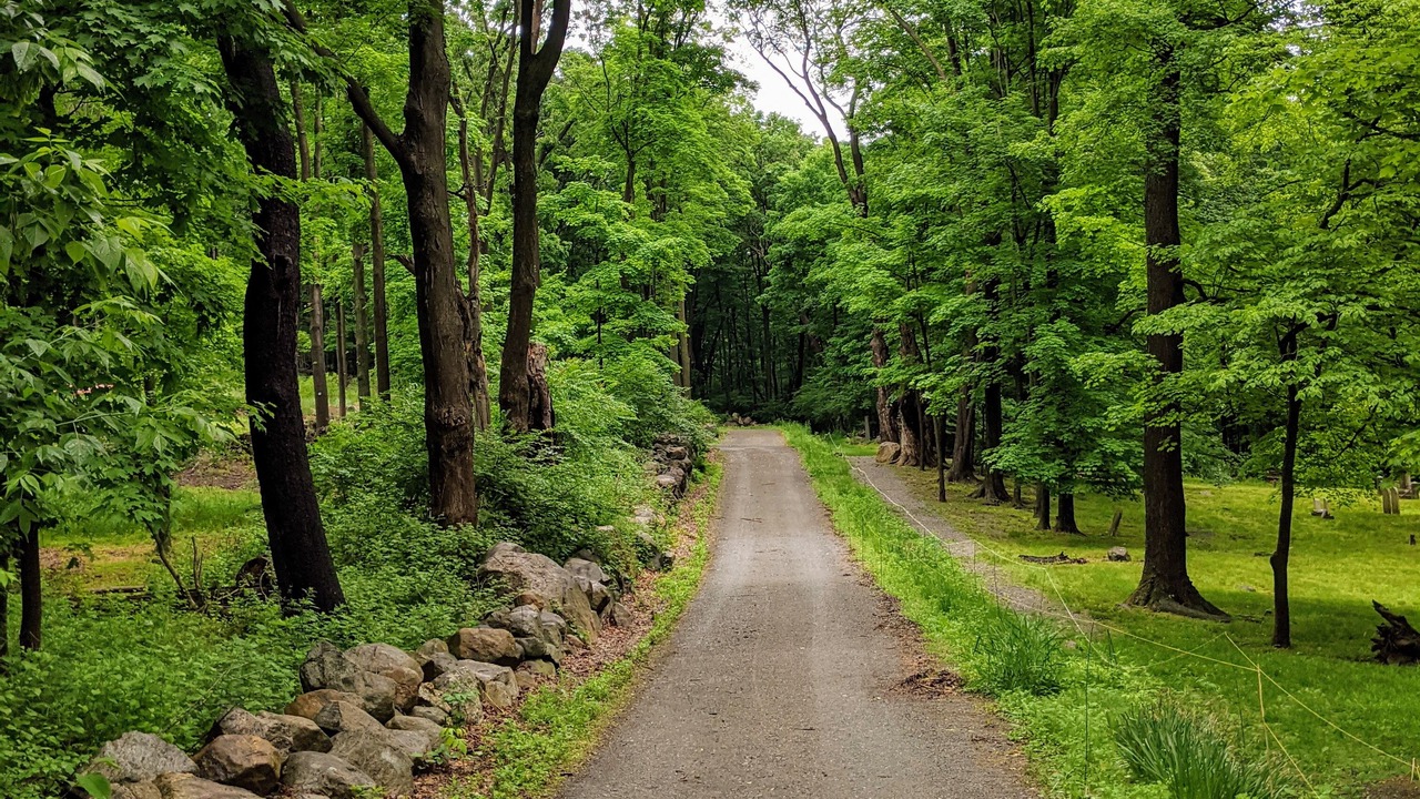 Photo of Outdoor in Nelsonville