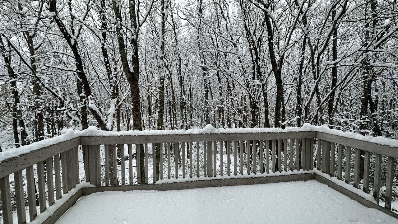 Photo of Outdoor in Tannersville