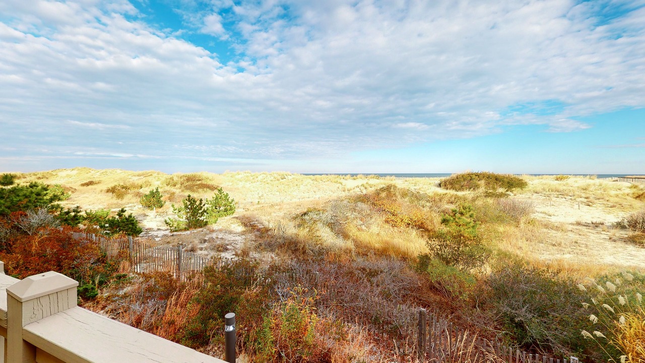Photo of Outdoor in Fenwick Island