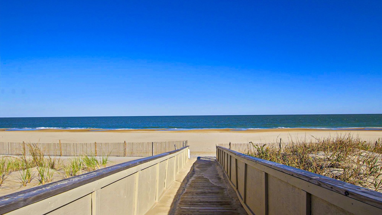 Photo of Others in Fenwick Island
