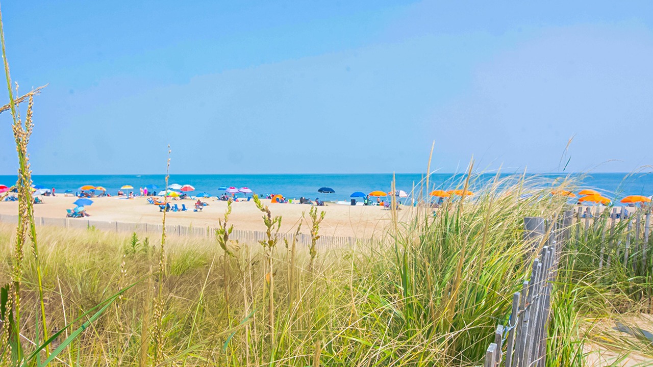 Photo of Others in Bethany Beach