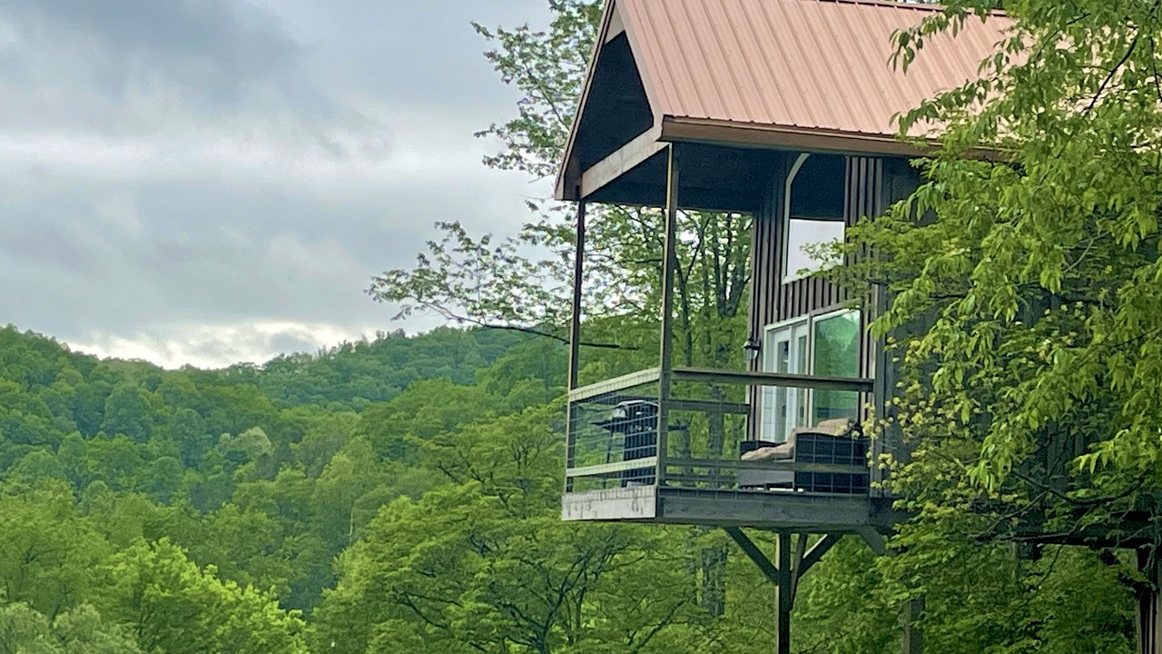 Photo of Outdoor in Weston