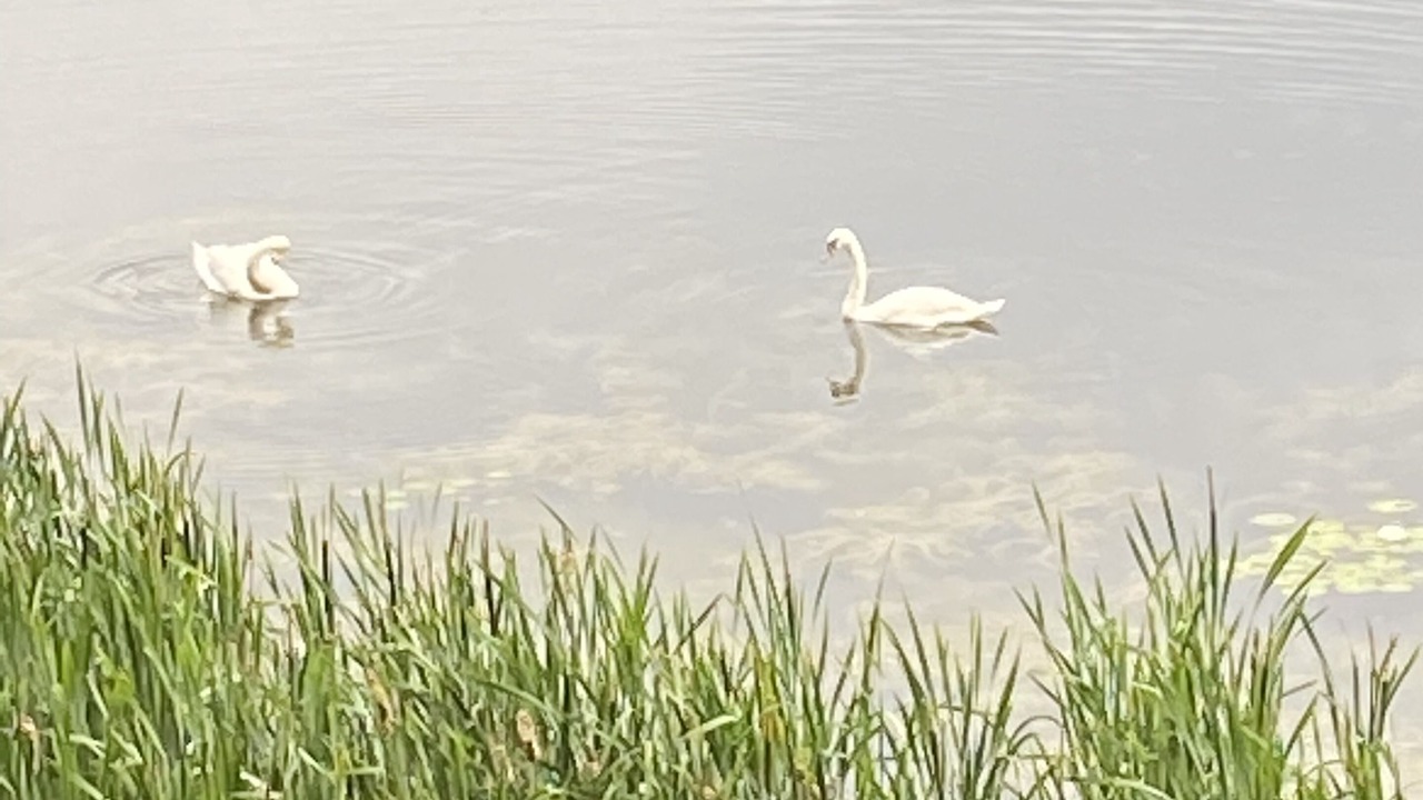 Photo of Others in Valatie