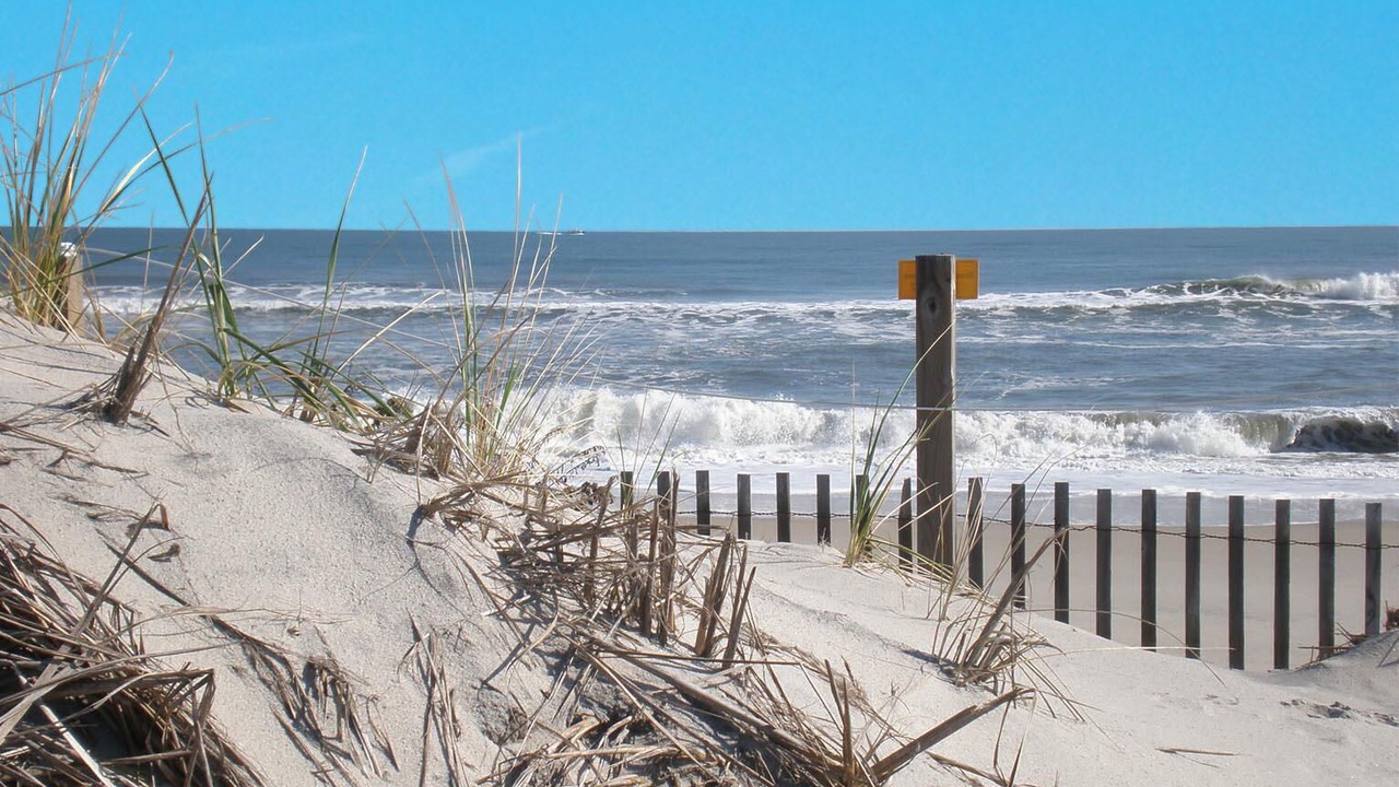 Photo of Others in Midtown Ocean City