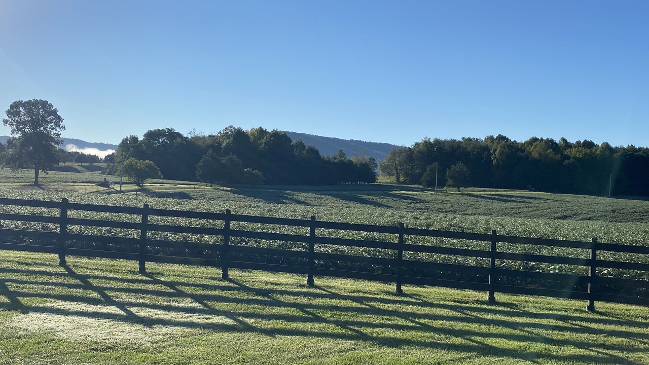 Photo of Outdoor in Byrdstown