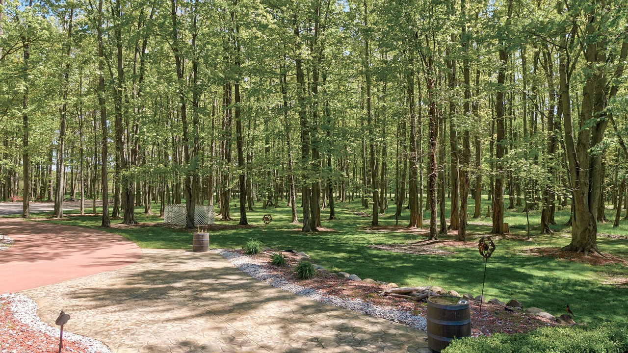 Photo of Outdoor in Austinburg