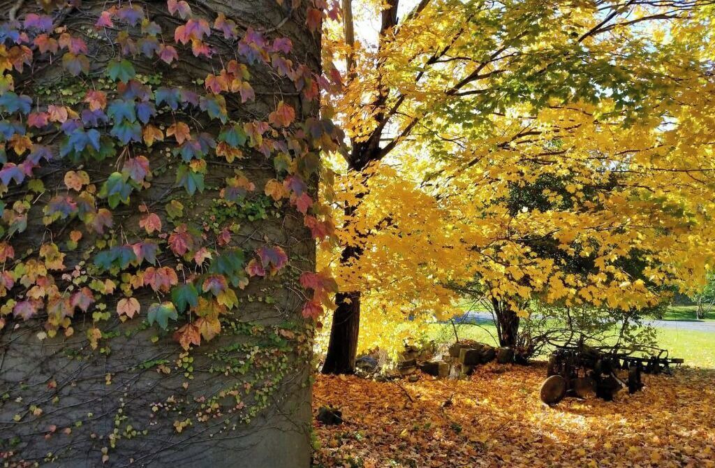 Photo of Outdoor in Goshen