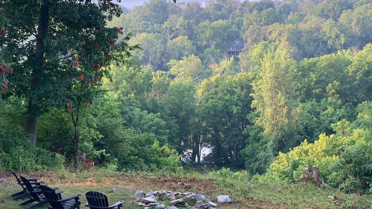 Photo of Outdoor in Kabletown