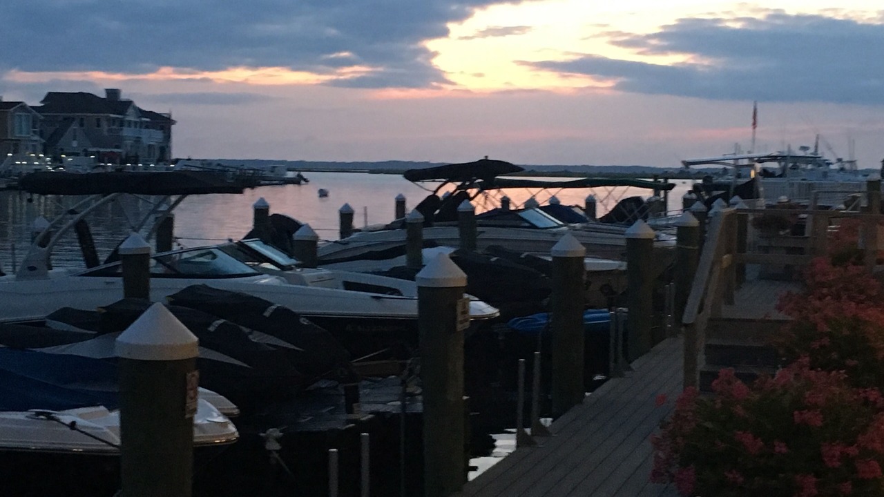 Photo of Others in Stone Harbor