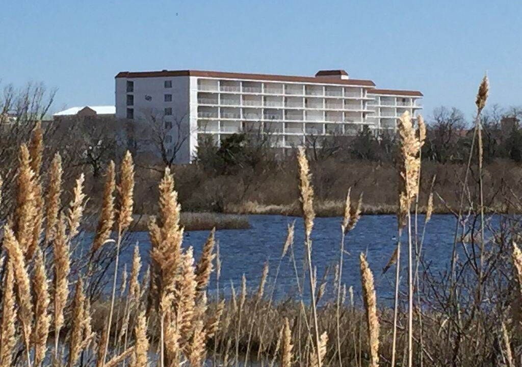Photo of Others in Diamond Beach