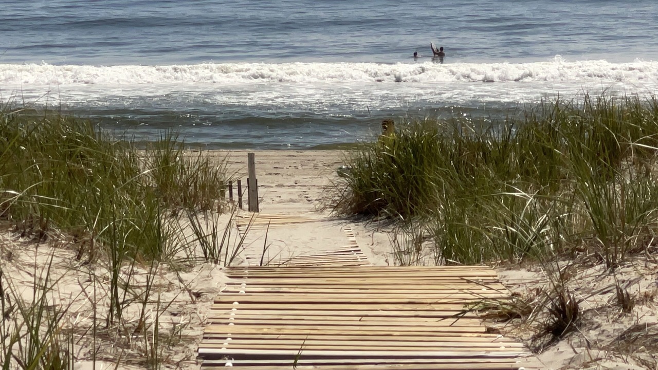 Photo of Others in North Beach Haven