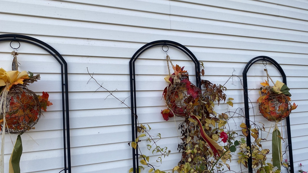 Photo of Outdoor in Martinsburg
