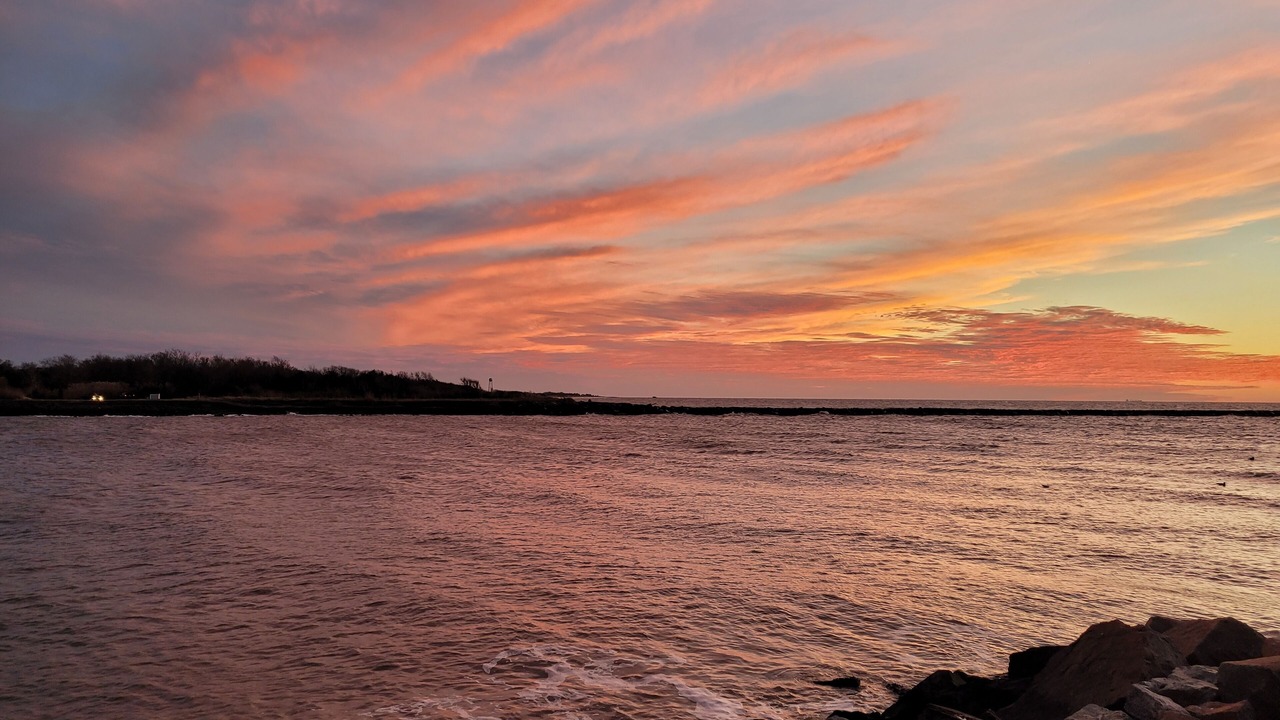 Photo of Others in North Cape May