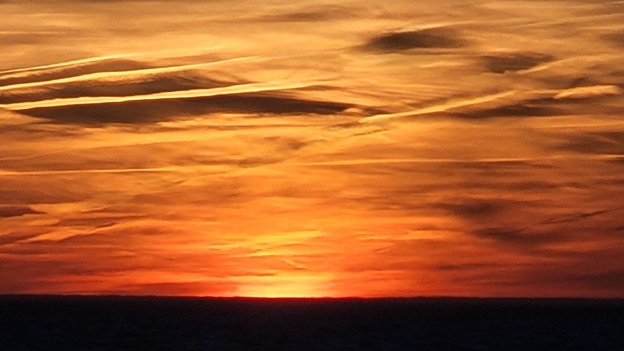 Photo of Others in North Cape May