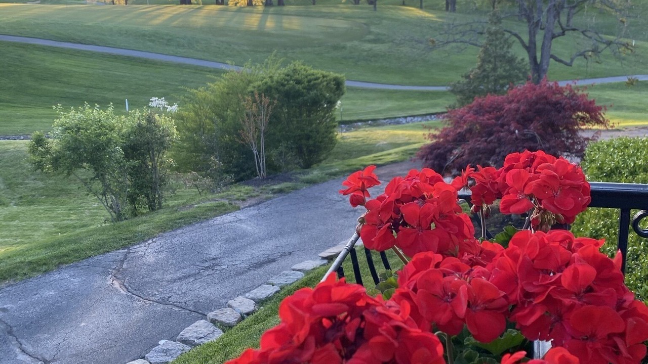 Photo of Outdoor in Prospect