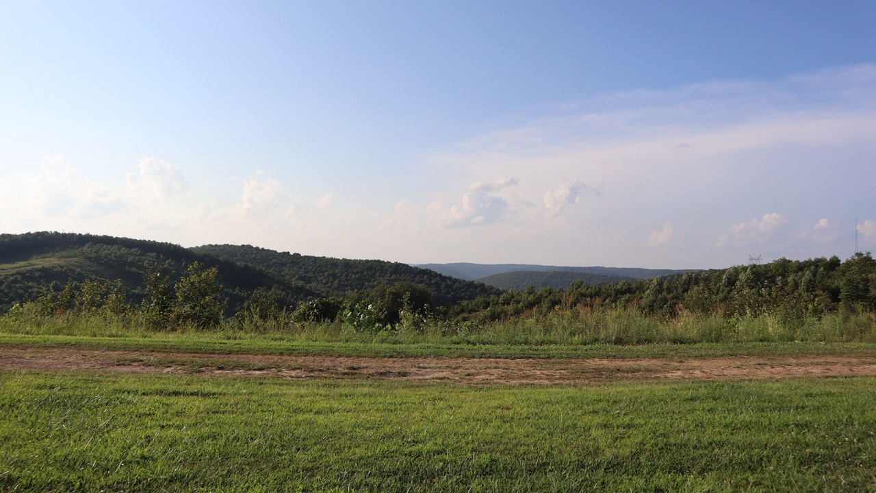 Photo of Outdoor in Lynx