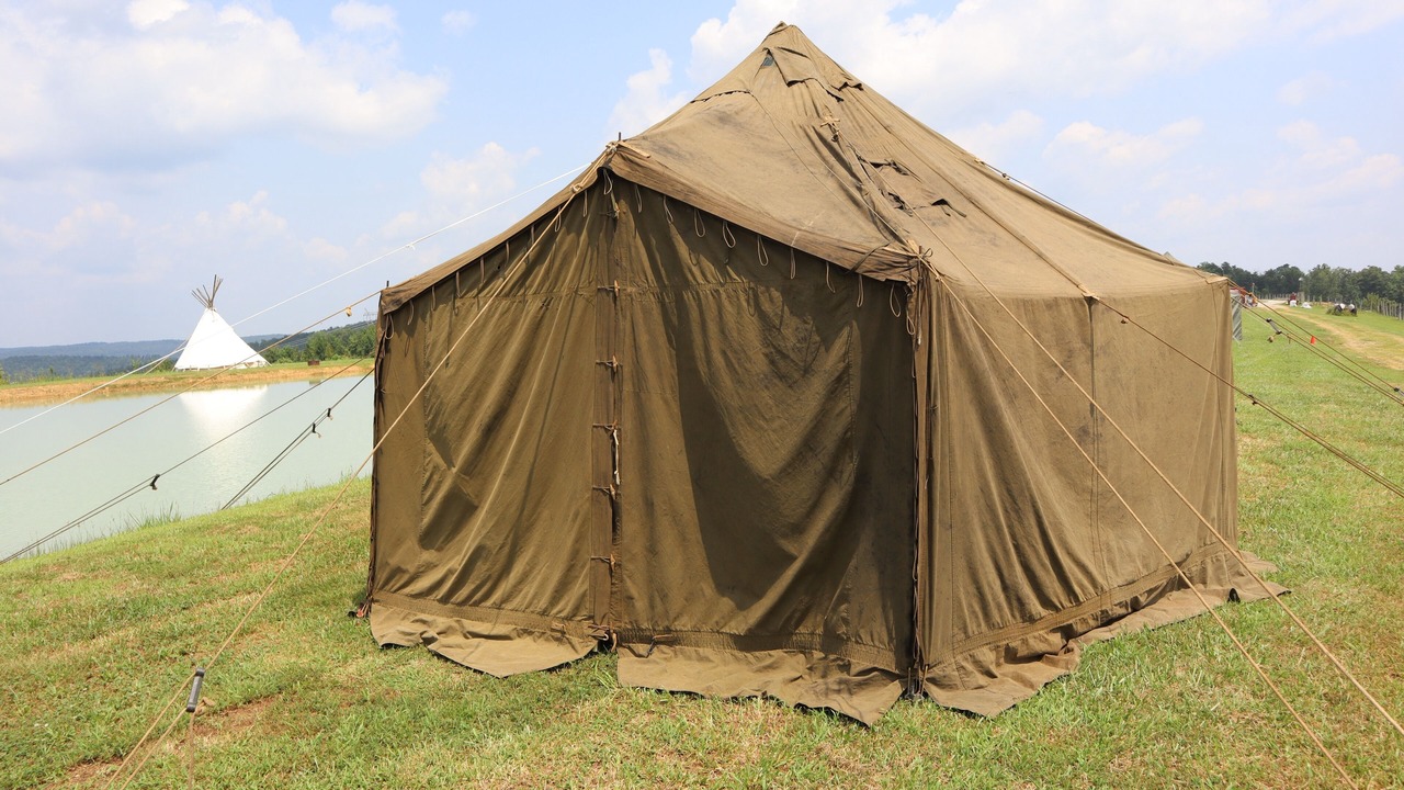 Photo of Outdoor in Lynx