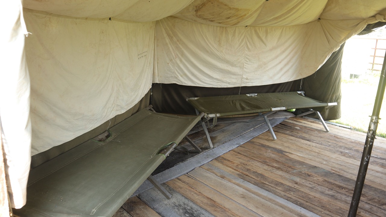 Photo of Outdoor in Lynx